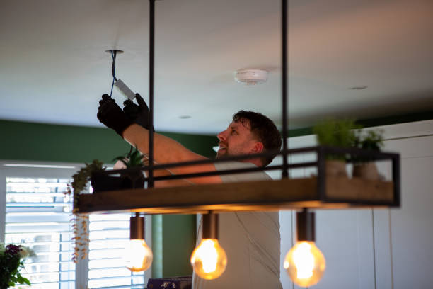 Best Electric Panel Repair  in Dixon, CA